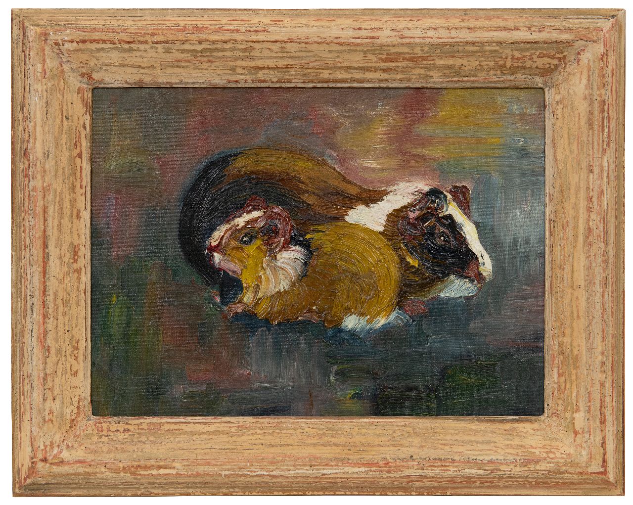 Lanooy C.J.  | Christiaan Johannes 'Chris' Lanooy | Schilderijen te koop aangeboden | Cavia's, olieverf op doek op board 22,0 x 29,5 cm
