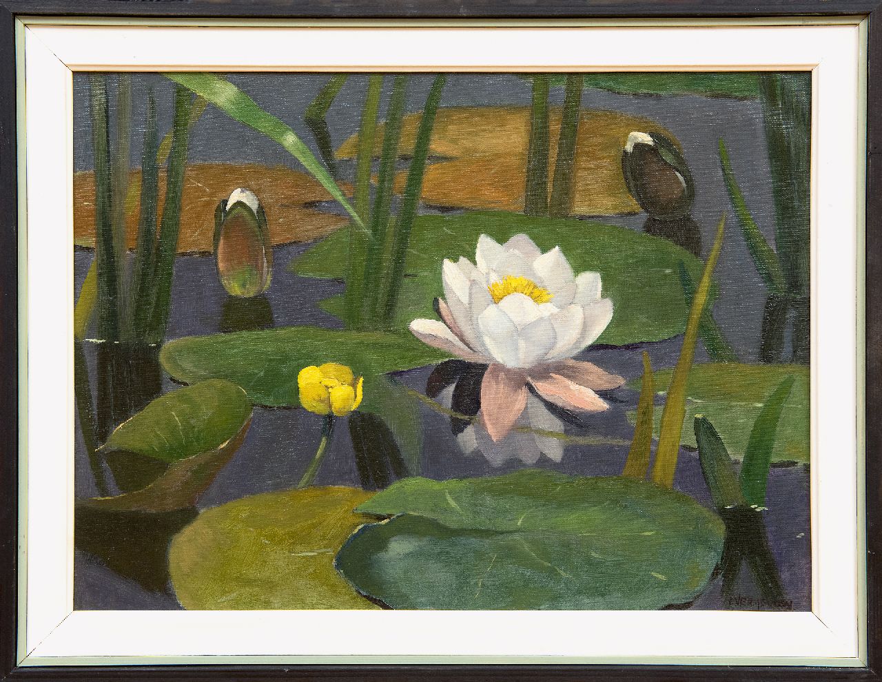 Vermeulen A.  | Adriaan Vermeulen, Waterlelies, olieverf op doek 30,4 x 40,7 cm, gesigneerd rechtsonder