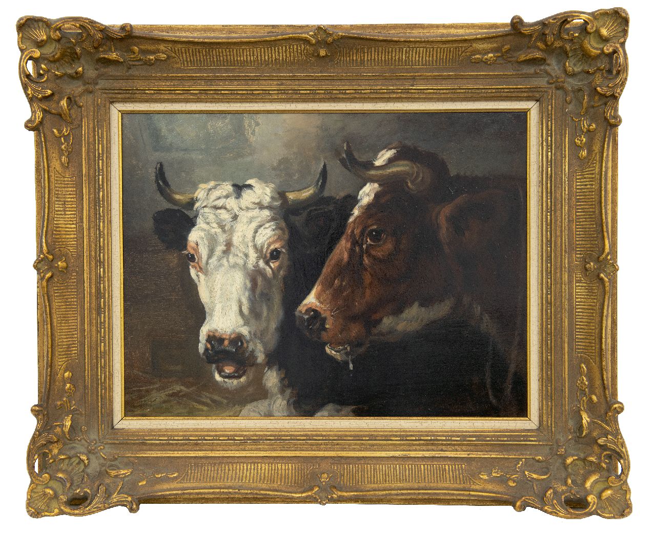 Burnier R.  | Richard Burnier, Twee koeienkoppen, olieverf op paneel 32,3 x 45,0 cm, gesigneerd verso