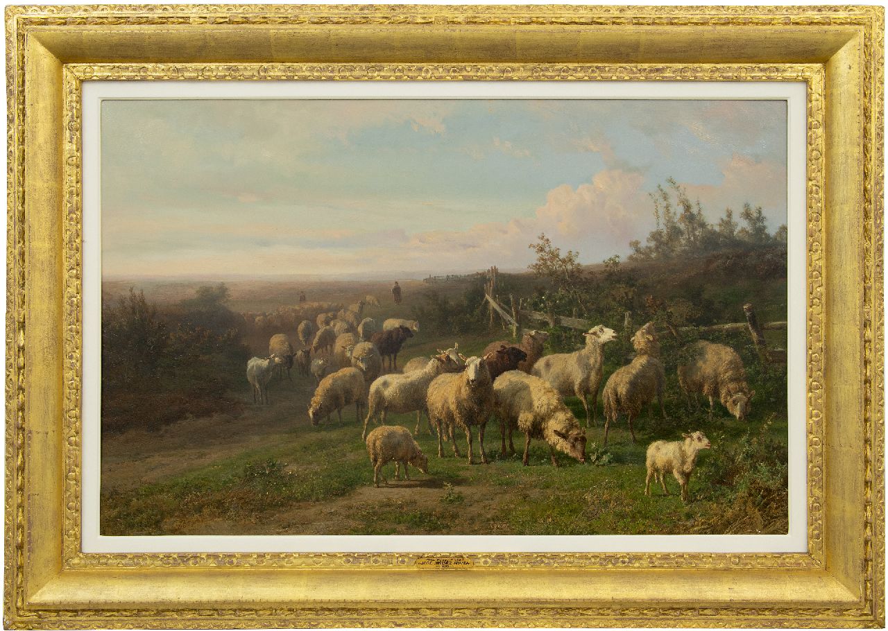 Tom J.B.  | Jan Bedijs Tom, Schaapskudde in weids heidelandschap, olieverf op paneel 60,3 x 94,0 cm, gesigneerd linksonder