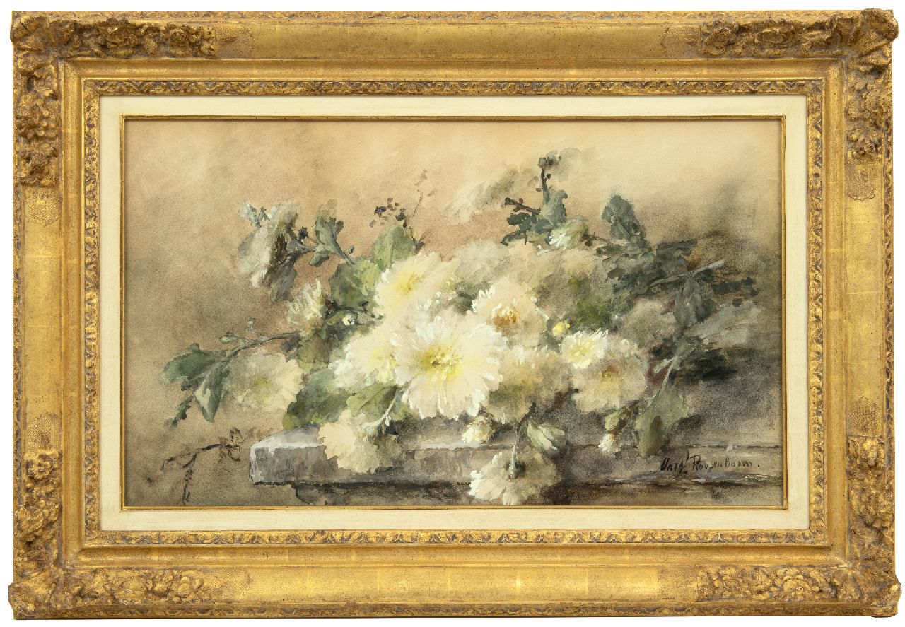 Roosenboom M.C.J.W.H.  | 'Margaretha' Cornelia Johanna Wilhelmina Henriëtta Roosenboom | Aquarellen en tekeningen te koop aangeboden | Witte chrysanten op een stenen plint, aquarel op papier 44,6 x 74,9 cm, gesigneerd rechtsonder