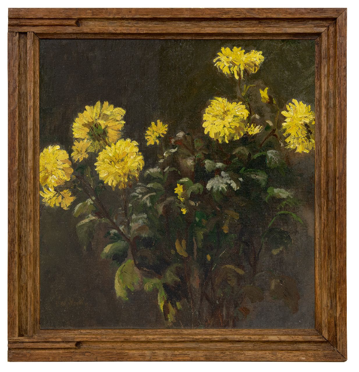 Windt Ch. van der | Christophe 'Chris' van der Windt | Schilderijen te koop aangeboden | Chrysanten, olieverf op doek 43,4 x 42,0 cm, gesigneerd linksonder Windt Ch. van der | Christophe 'Chris' van der Windt | Schilderijen te koop aangeboden | Chrysanten, olieverf op doek 43,4 x 42,0 cm, gesigneerd linksonder