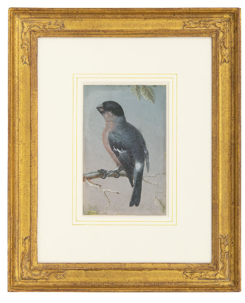 Agricola C.L.  | Christoph Ludwig Agricola, Vink, gouache op perkament 15,1 x 9,5 cm