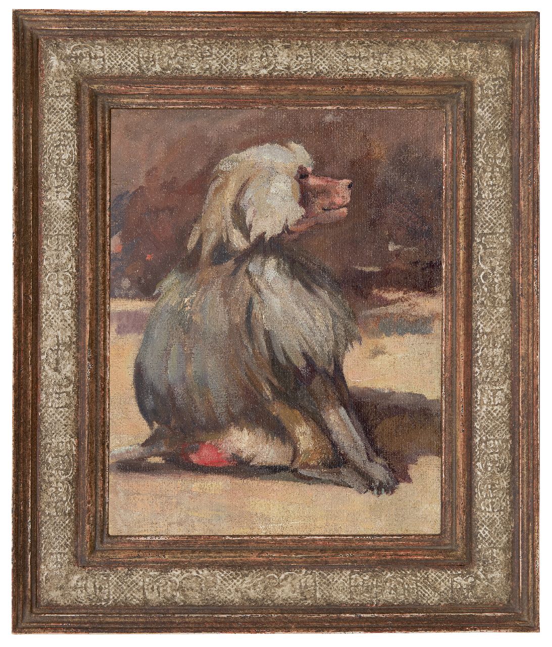Bruigom M.C.  | Margaretha Cornelia 'Greta' Bruigom, Mantelbaviaan, olieverf op doek op paneel 36,5 x 28,7 cm, gesigneerd verso
