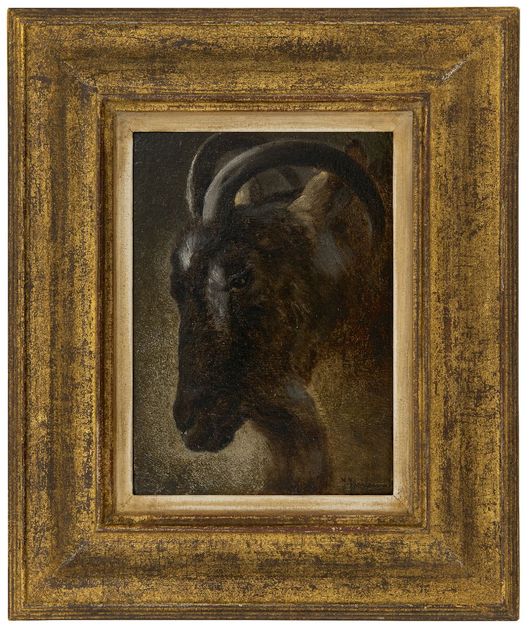Janssens J.  | Jacques Janssens | Schilderijen te koop aangeboden | Ramskop, olieverf op paneel 22,2 x 16,2 cm, gesigneerd rechtsonder