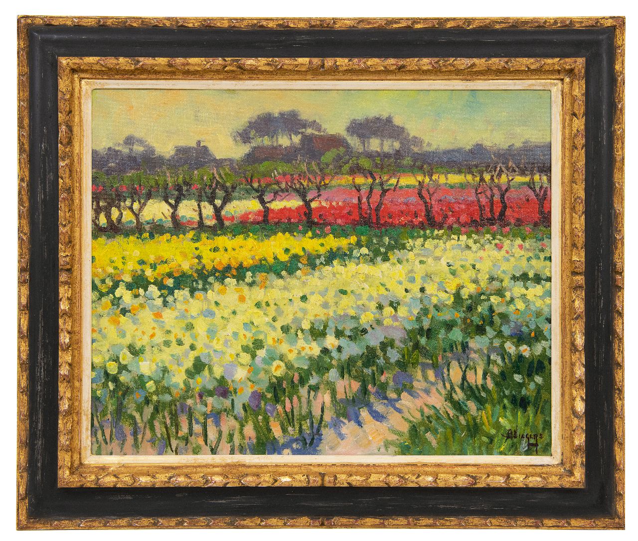 Viegers B.P.  | Bernardus Petrus 'Ben' Viegers, Narcissen- en tulpenvelden in Bakkum, Noord-Holland, olieverf op doek 40,6 x 50,6 cm, gesigneerd rechtsonder