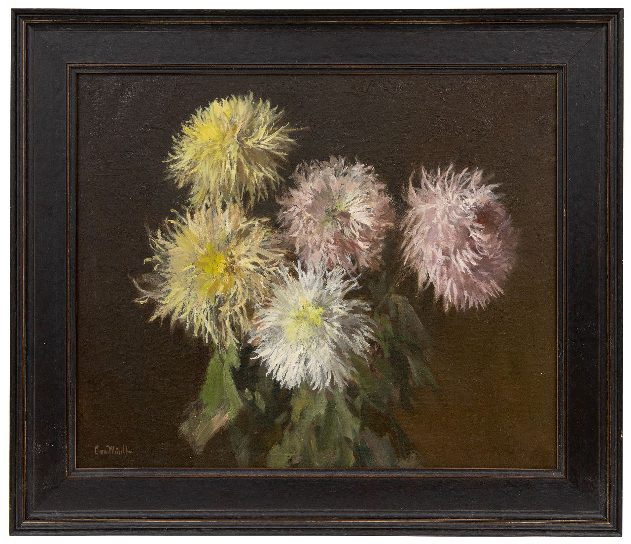 Windt Ch. van der | Christophe 'Chris' van der Windt | Schilderijen te koop aangeboden | Spinchrysanten, olieverf op doek 45,2 x 55,3 cm, gesigneerd linksonder