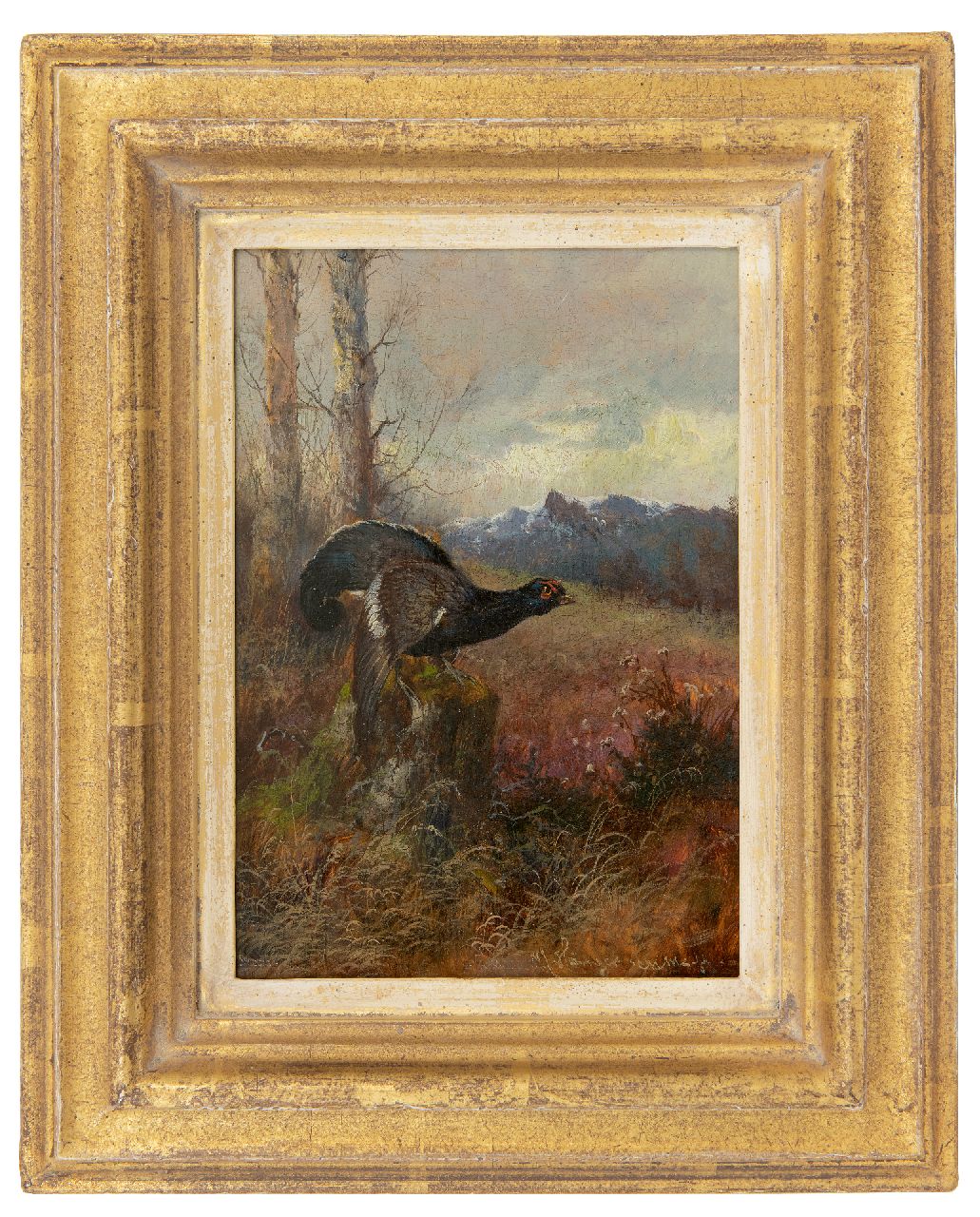 Hänger M. | Max Hänger, Auerhoen naar rechts kijkend (uit een paar), olieverf op paneel 19,7 x 13,8 cm, gesigneerd rechtsonder Hänger M. | Max Hänger, Auerhoen naar rechts kijkend (uit een paar), olieverf op paneel 19,7 x 13,8 cm, gesigneerd rechtsonder