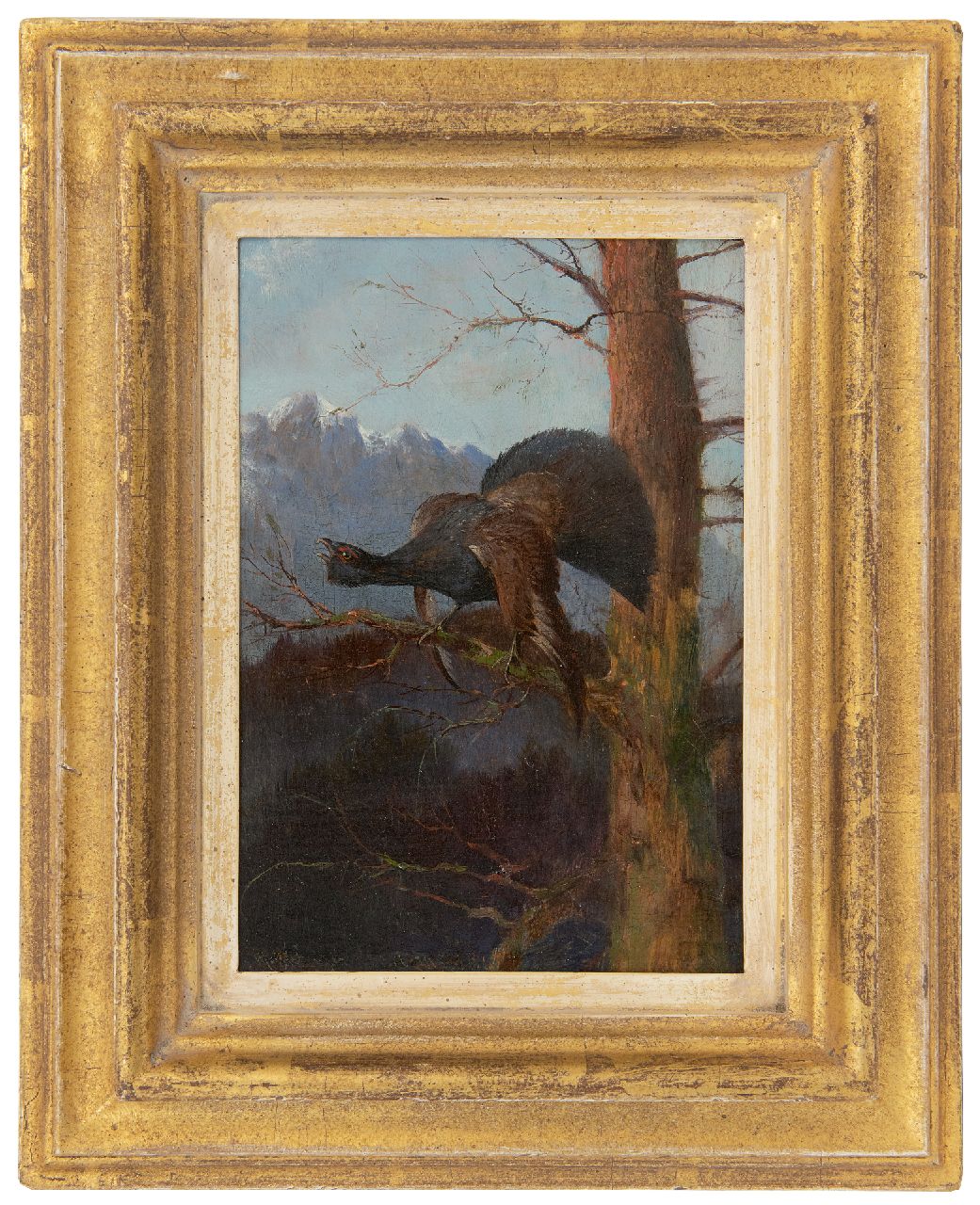 Hänger M. | Max Hänger, Auerhaan naar links kijkend (uit een paar), olieverf op paneel 19,2 x 13,2 cm, gesigneerd linksonder Hänger M. | Max Hänger, Auerhaan naar links kijkend (uit een paar), olieverf op paneel 19,2 x 13,2 cm, gesigneerd linksonder