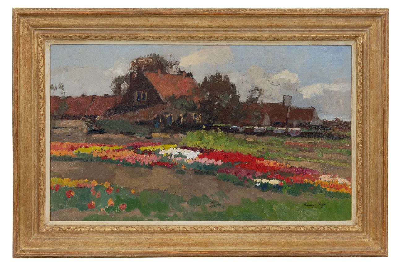 Vlist L. van der | Leendert van der Vlist | Schilderijen te koop aangeboden | Boerderij tussen tulpenvelden, olieverf op doek 36,1 x 60,9 cm, gesigneerd rechtsonder Vlist L. van der | Leendert van der Vlist | Schilderijen te koop aangeboden | Boerderij tussen tulpenvelden, olieverf op doek 36,1 x 60,9 cm, gesigneerd rechtsonder
