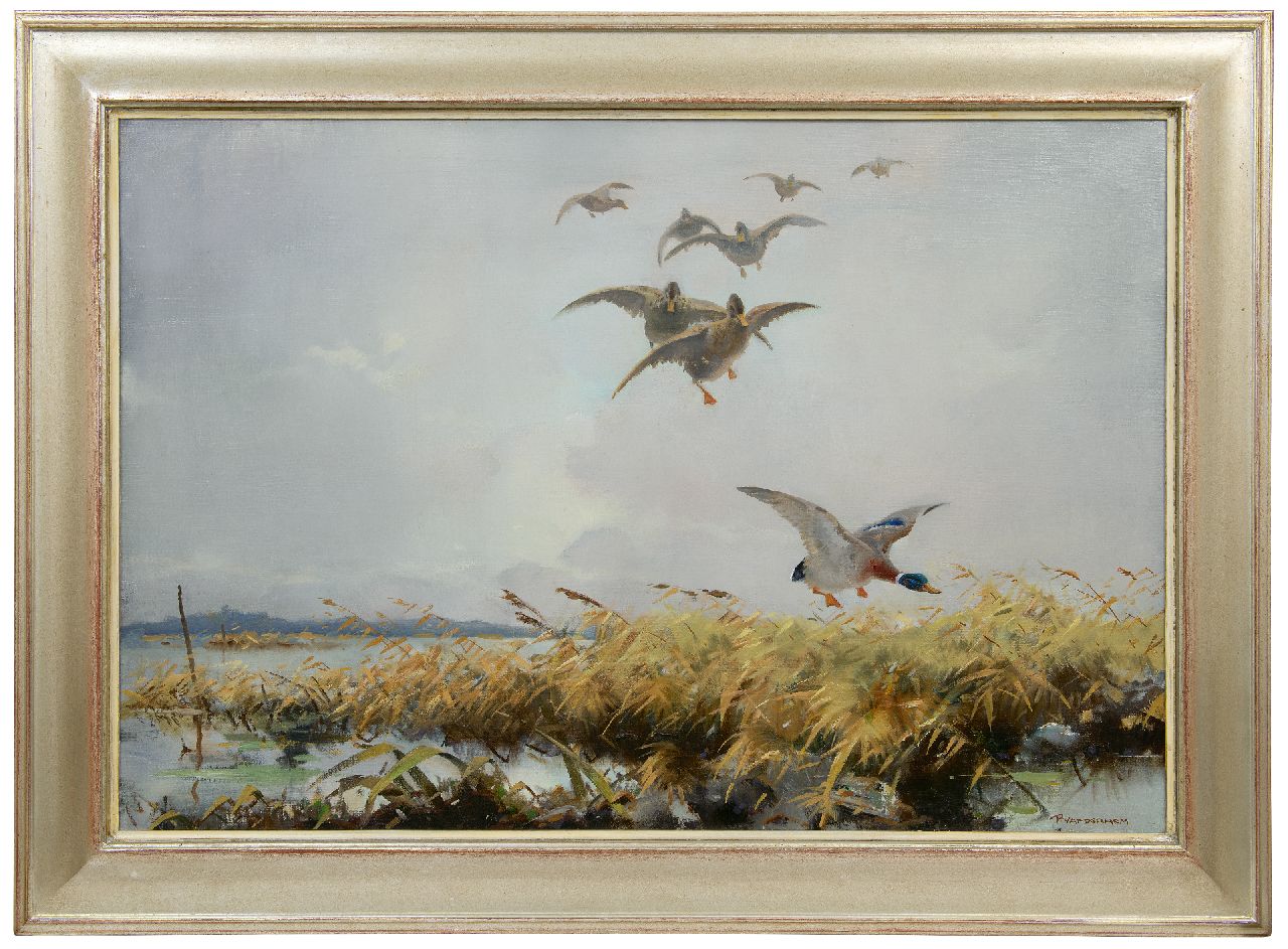 Hem P. van der | Pieter 'Piet' van der Hem | Schilderijen te koop aangeboden | Eendenvlucht, olieverf op doek 65,8 x 96,4 cm, gesigneerd rechtsonder Hem P. van der | Pieter 'Piet' van der Hem | Schilderijen te koop aangeboden | Eendenvlucht, olieverf op doek 65,8 x 96,4 cm, gesigneerd rechtsonder