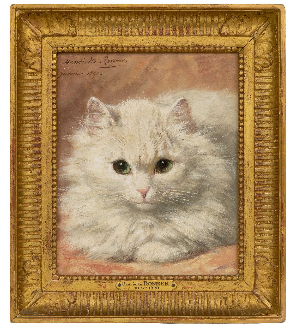 Ronner-Knip H.  | Henriette Ronner-Knip, Kopje van wit angorakatje, olieverf op paneel 22,8 x 19,2 cm, gesigneerd linksboven en gedateerd 'Janvier' 1892
