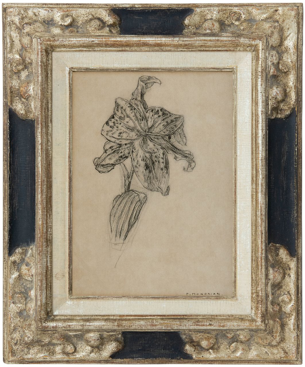 Mondriaan P.C. | Pieter Cornelis 'Piet' Mondriaan, Lelie, houtskool op papier 25,9 x 19,0 cm, gesigneerd rechtsonder 'P. Mondrian' en te dateren 1912 of na 1921 Mondriaan P.C. | Pieter Cornelis 'Piet' Mondriaan, Lelie, houtskool op papier 25,9 x 19,0 cm, gesigneerd rechtsonder 'P. Mondrian' en te dateren 1912 of na 1921