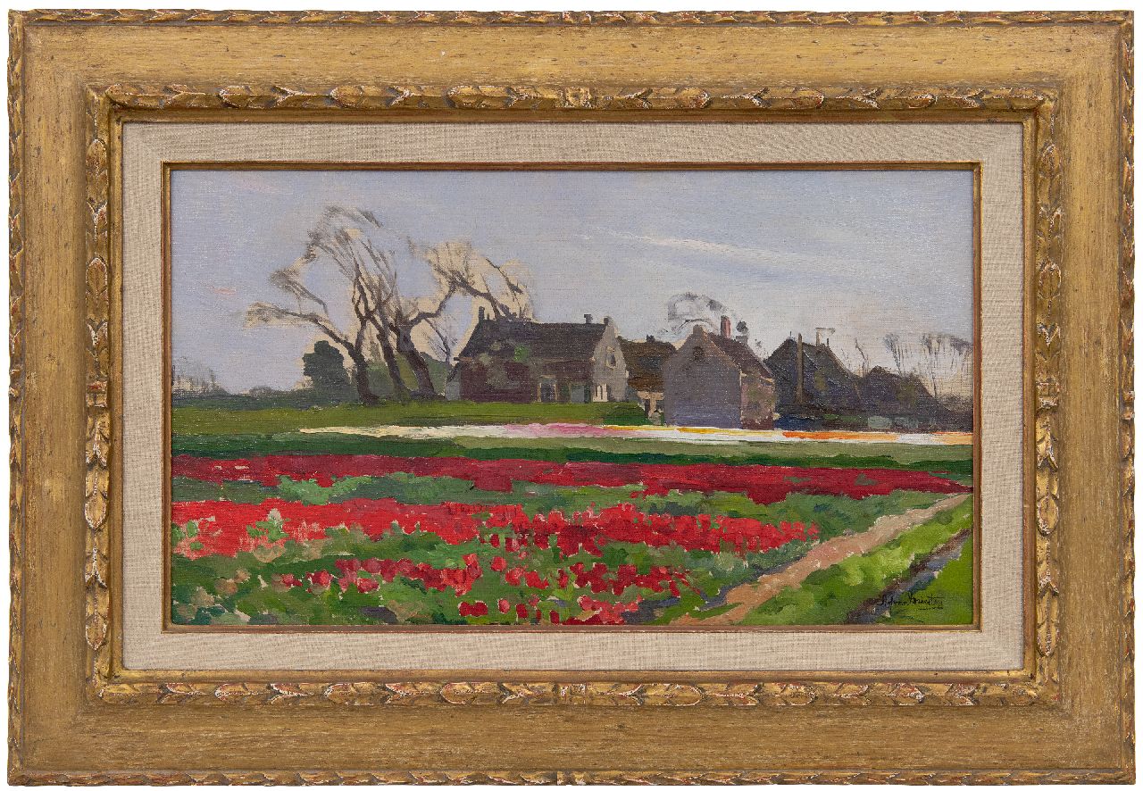 Driesten A.J. van | Arend Jan van Driesten | Schilderijen te koop aangeboden | Bollenvelden, olieverf op schildersboard 28,5 x 49,7 cm, gesigneerd rechtsonder Driesten A.J. van | Arend Jan van Driesten | Schilderijen te koop aangeboden | Bollenvelden, olieverf op schildersboard 28,5 x 49,7 cm, gesigneerd rechtsonder