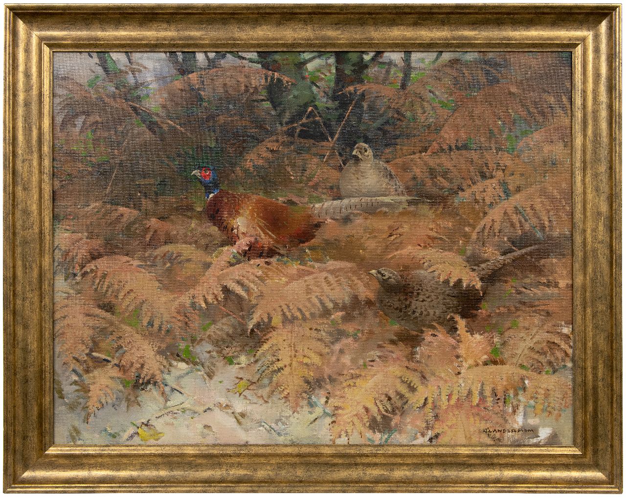 Hem P. van der | Pieter 'Piet' van der Hem | Schilderijen te koop aangeboden | Fazantenhaan met twee hennen tussen varens, olieverf op doek 74,1 x 98,2 cm, gesigneerd rechtsonder Hem P. van der | Pieter 'Piet' van der Hem | Schilderijen te koop aangeboden | Fazantenhaan met twee hennen tussen varens, olieverf op doek 74,1 x 98,2 cm, gesigneerd rechtsonder