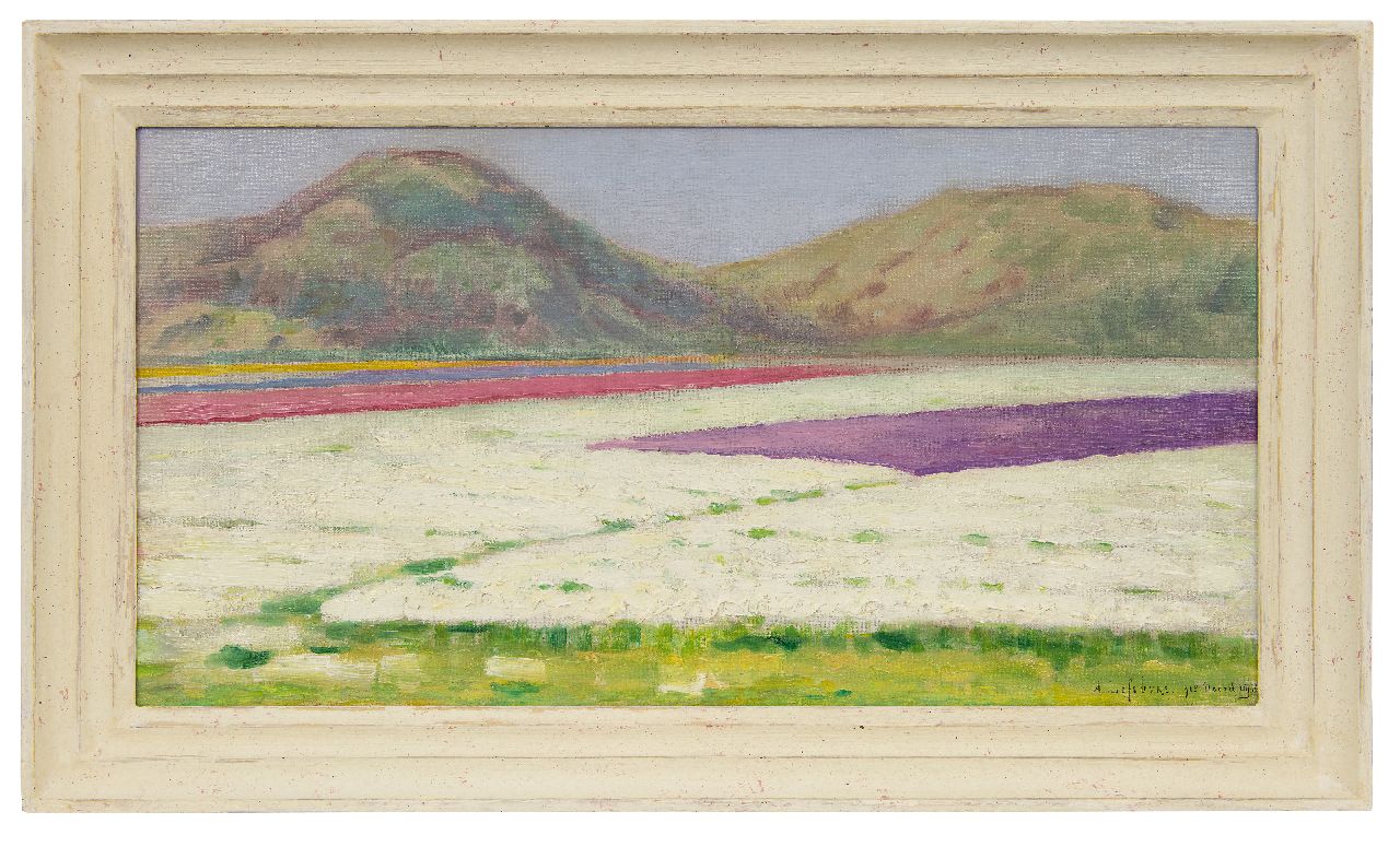 Lefebvre A.  | Albrecht 'Albert' Lefebvre, Bollenvelden bij Noordwijk, olieverf op doek 32,7 x 62,3 cm, gesigneerd rechtsonder en gedateerd 1918