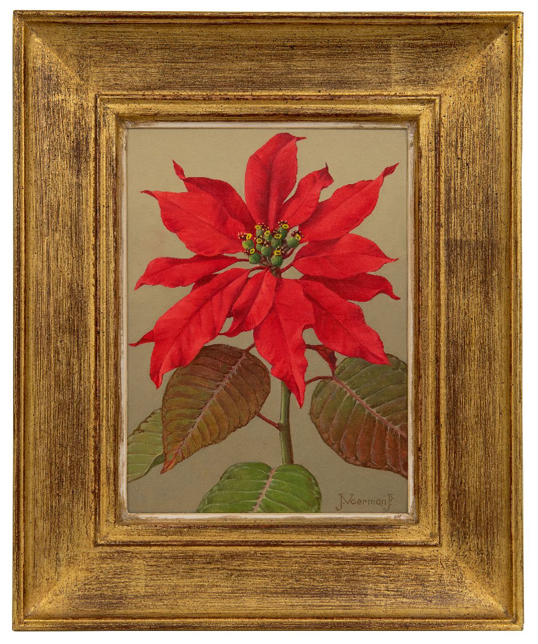 Voerman jr. J. | Jan Voerman jr. | Schilderijen te koop aangeboden | Rode kerstster, olieverf op doek op board 22,7 x 15,8 cm, gesigneerd rechtsonder Voerman jr. J. | Jan Voerman jr. | Schilderijen te koop aangeboden | Rode kerstster, olieverf op doek op board 22,7 x 15,8 cm, gesigneerd rechtsonder