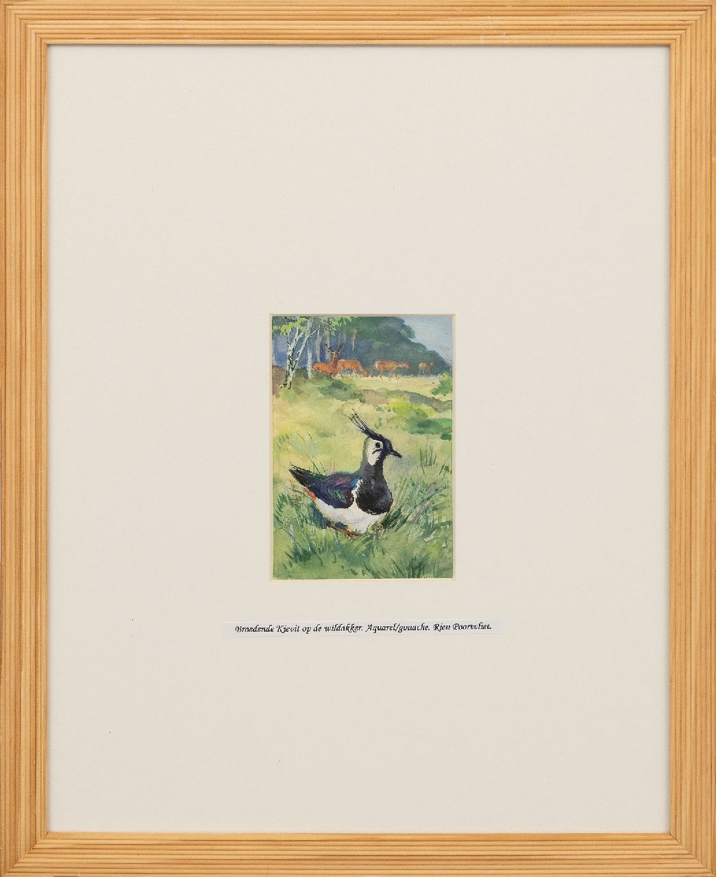 Poortvliet R.  | Rien Poortvliet | Aquarellen en tekeningen te koop aangeboden | Broedende kievit in open wei met reeën, Hoge Veluwe, gouache op papier 13,5 x 9,0 cm