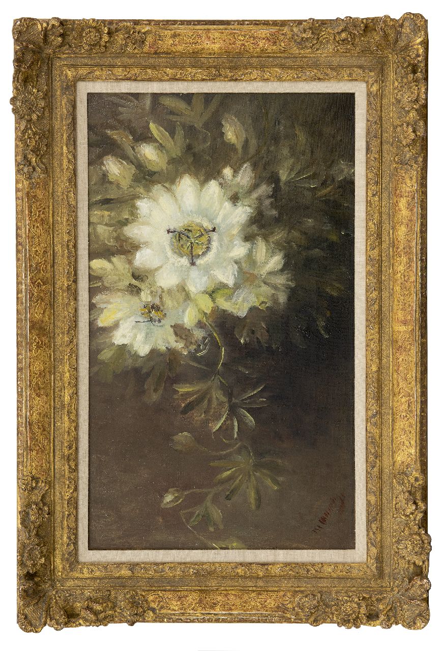 Wuytiers-Blaauw A.M. | Anna Maria 'Marie' Wuytiers-Blaauw | Schilderijen te koop aangeboden | Passiebloem, olieverf op doek 51,4 x 30,2 cm, gesigneerd rechtsonder Wuytiers-Blaauw A.M. | Anna Maria 'Marie' Wuytiers-Blaauw | Schilderijen te koop aangeboden | Passiebloem, olieverf op doek 51,4 x 30,2 cm, gesigneerd rechtsonder