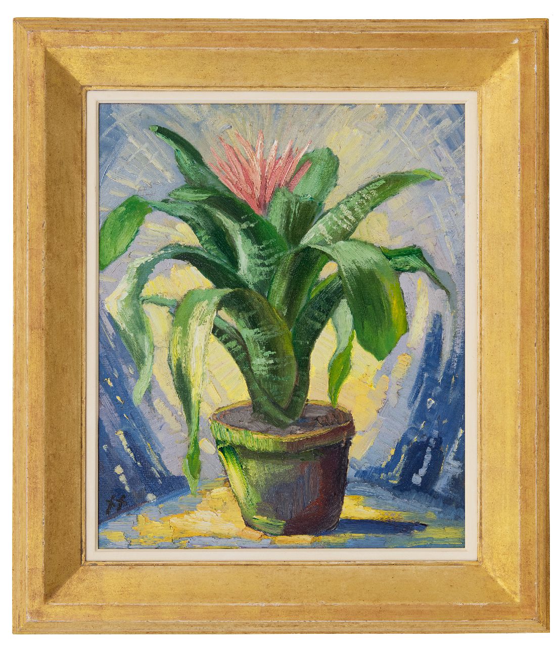 Kruysen J. | Johannes 'Jan' Kruysen | Schilderijen te koop aangeboden | Bromelia in aardewerken pot, olieverf op schildersboard 45,8 x 37,8 cm, gesigneerd linksonder met monogram Kruysen J. | Johannes 'Jan' Kruysen | Schilderijen te koop aangeboden | Bromelia in aardewerken pot, olieverf op schildersboard 45,8 x 37,8 cm, gesigneerd linksonder met monogram