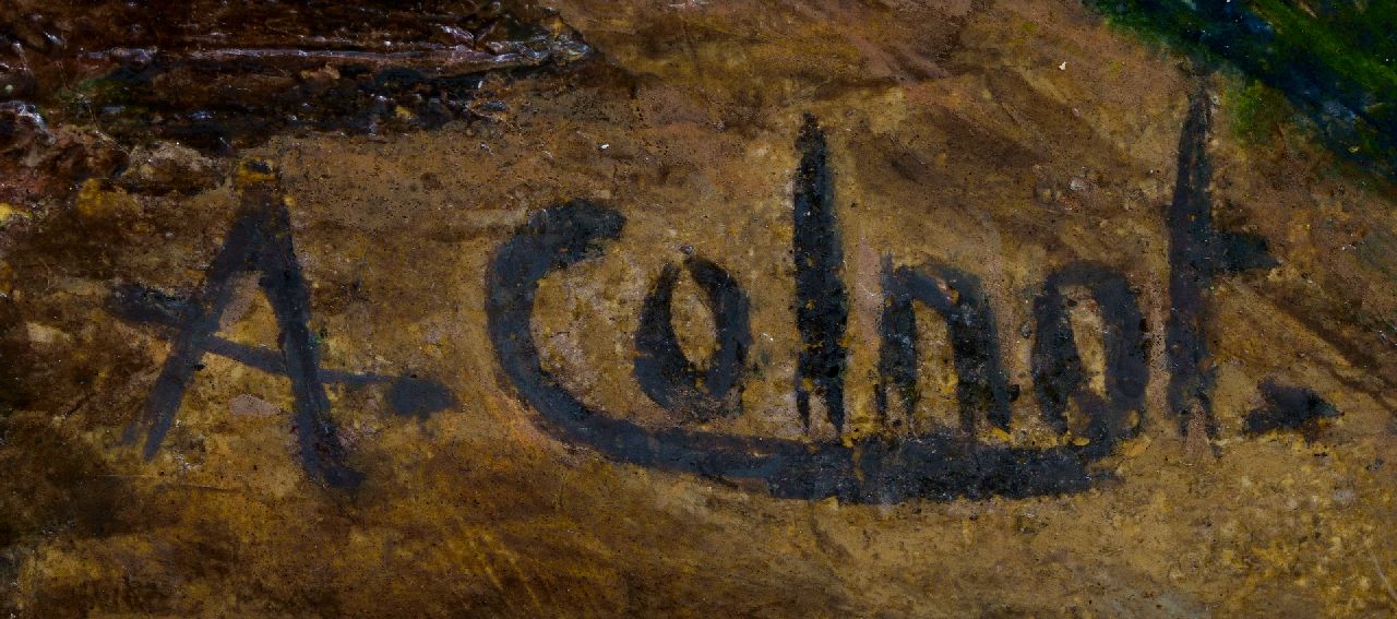 Arnout Colnot signaturen Zandpad met huizen