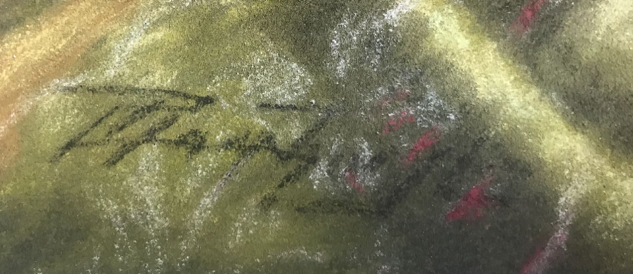 Cornelis Raaphorst signaturen Twee spelende jonge katjes