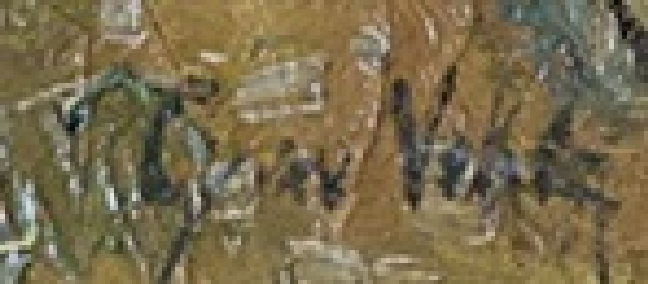 Geer van Velde signaturen Dorpsgezicht