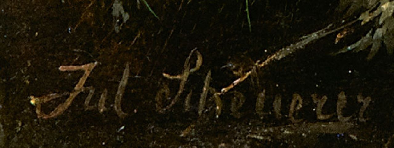 Julius Scheuerer signaturen Haan met zijn kippen