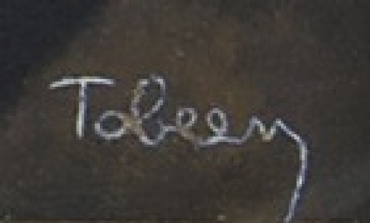 Tobeen signaturen Nu couché