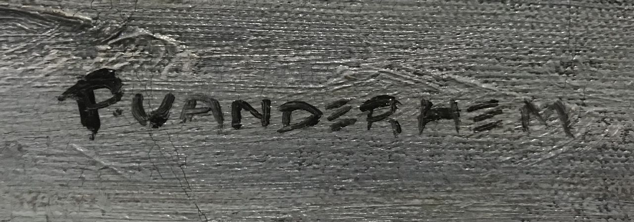 Piet van der Hem signaturen Vliegende knobbelzwanen boven het water