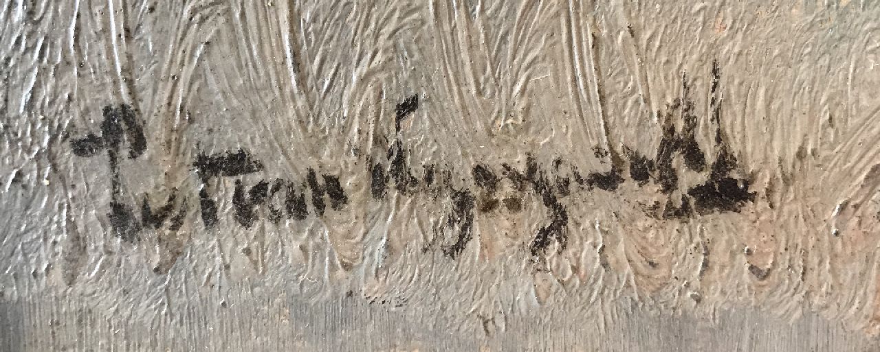 Piet van Wijngaerdt signaturen Plaslandschap