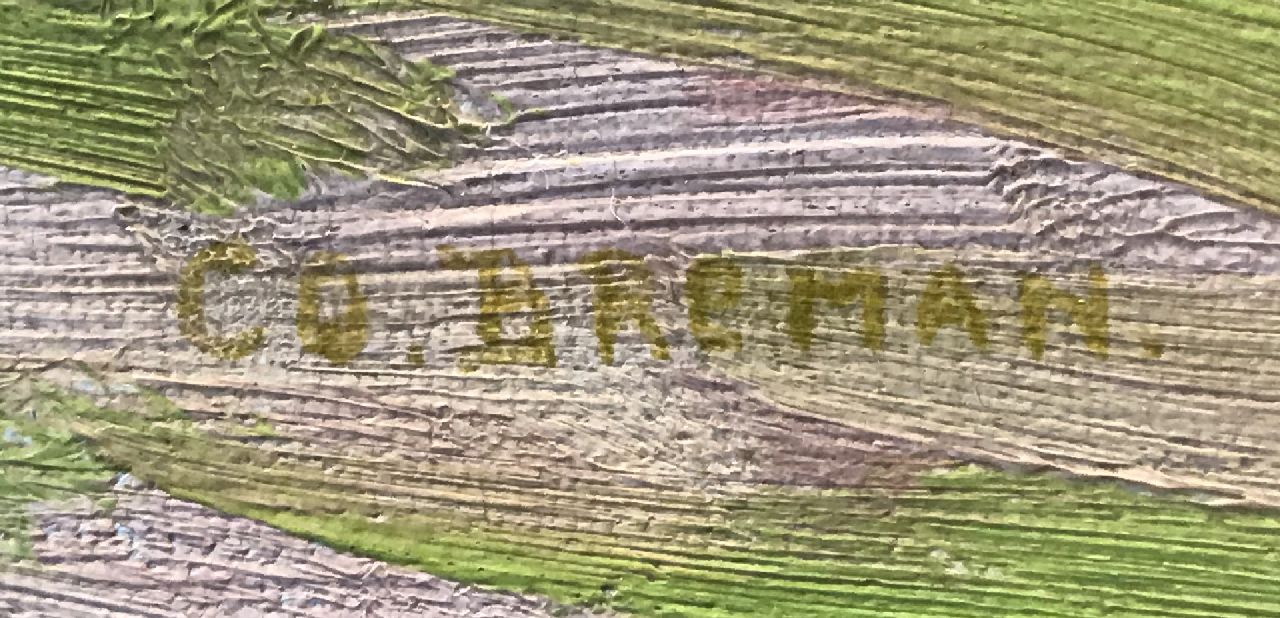 Co Breman signaturen Vee in de wei (aan de IJssel)