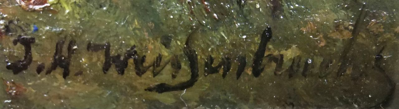 Jan Hendrik Weissenbruch signaturen Landschap bij Dekkersduin, Den Haag