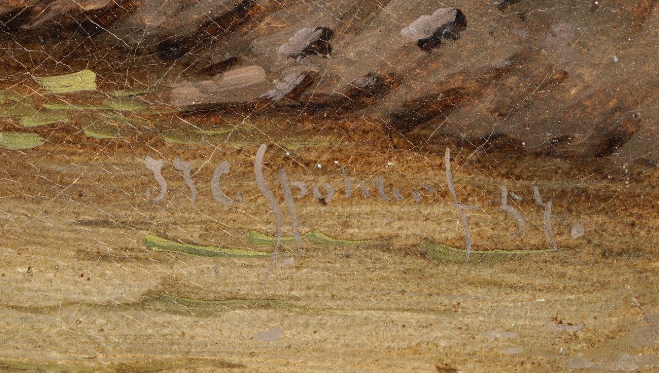 Jacob Jan Coenraad Spohler signaturen Zomers rivierlandschap met overzetveer (pendant van Winterlandschap)
