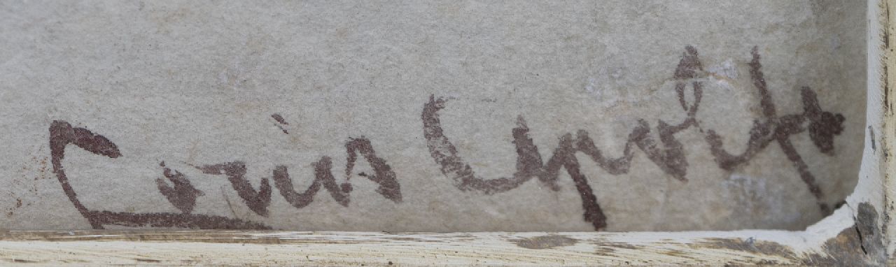 Louis Apol signaturen Besneeuwde schuren in het bos