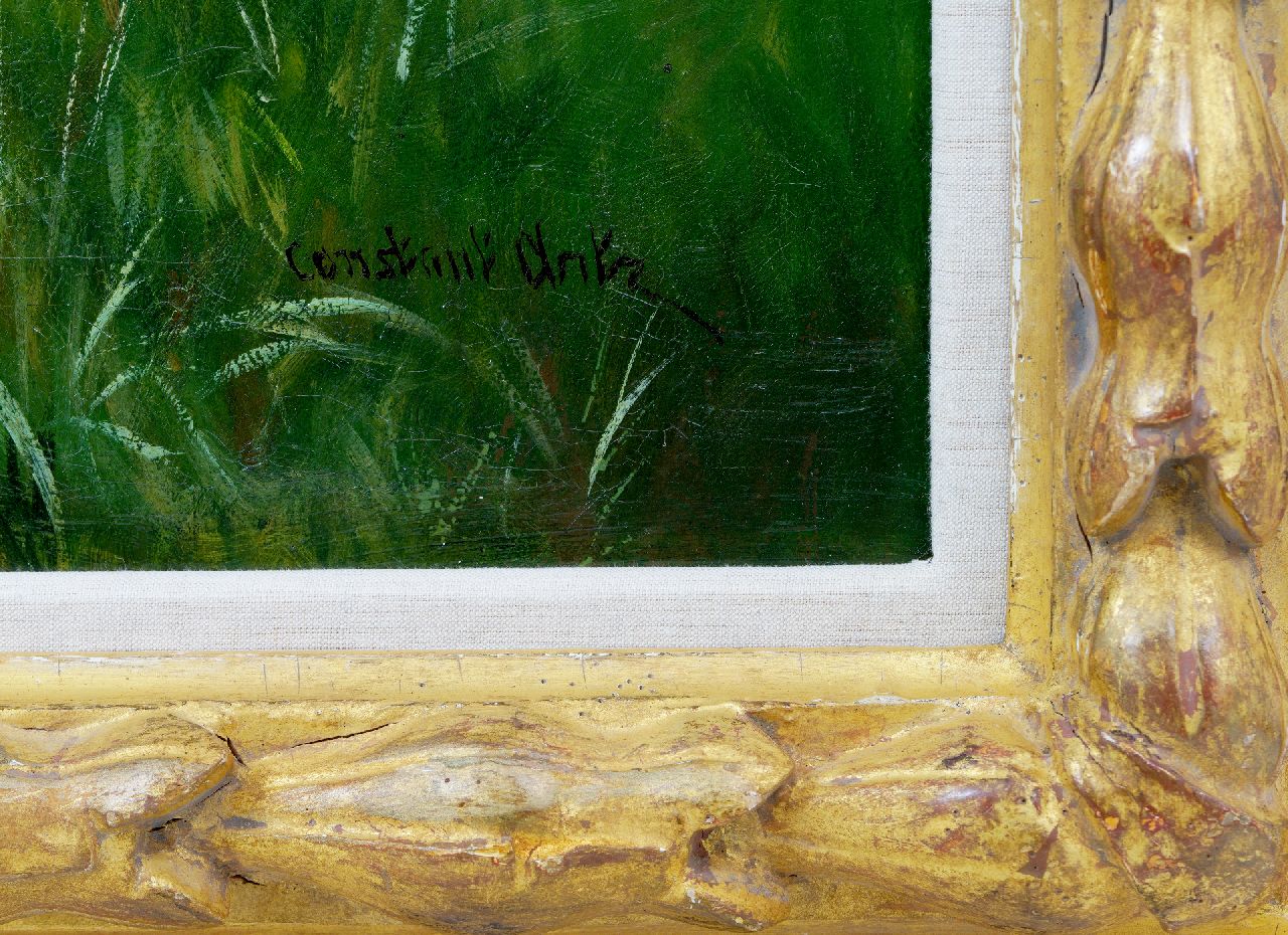 Constant Artz signaturen Moedereend, kuikens en de zwevende libelle