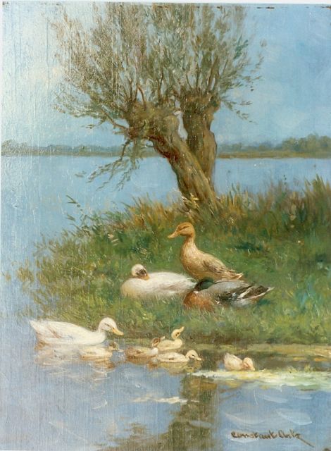 Constant Artz | Eendenkuikens bij de waterkant, olieverf op paneel, 24,0 x 18,0 cm, gesigneerd r.o.