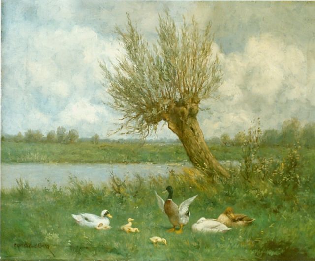 Constant Artz | Eenden in het gras, olieverf op doek, 40,0 x 50,3 cm, gesigneerd l.o.