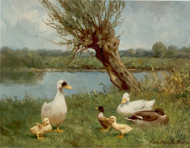 Constant Artz | Eenden op de waterkant, olieverf op schildersboard, 18,0 x 24,0 cm, gesigneerd r.o.