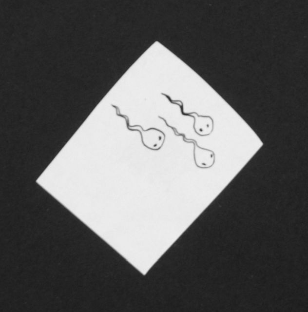Prinses Beatrix van Oranje Nassau | Drie kikkervisjes, potlood en Oost-Indische inkt op papier, 5,2 x 4,1 cm, te dateren augustus 1960