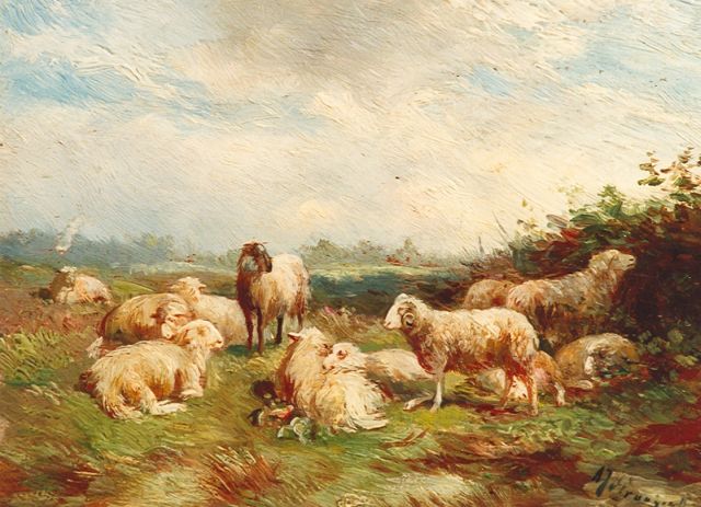 Albert Jurardus van Prooijen | Schapen, olieverf op paneel, 14,4 x 20,6 cm, gesigneerd r.o.