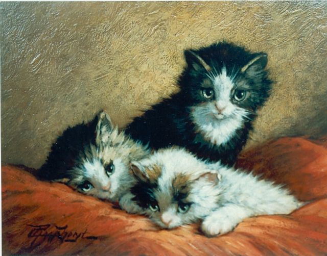 Cornelis Raaphorst | Drie poesjes, olieverf op paneel, 18,4 x 24,4 cm, gesigneerd l.o.