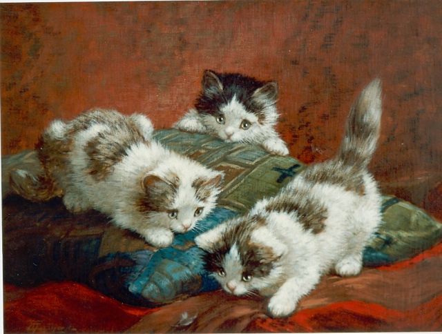 Cornelis Raaphorst | Spelende poesjes op een kussen, olieverf op doek, 50,4 x 60,5 cm, gesigneerd r.o.