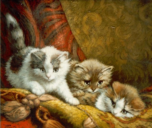 Cornelis Raaphorst | Drie spelende poesjes, olieverf op doek, 24,3 x 30,3 cm, gesigneerd l.o.