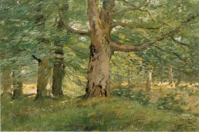Arnold Gorter | Bosgezicht, olieverf op doek, 43,5 x 62,0 cm, gesigneerd r.o.