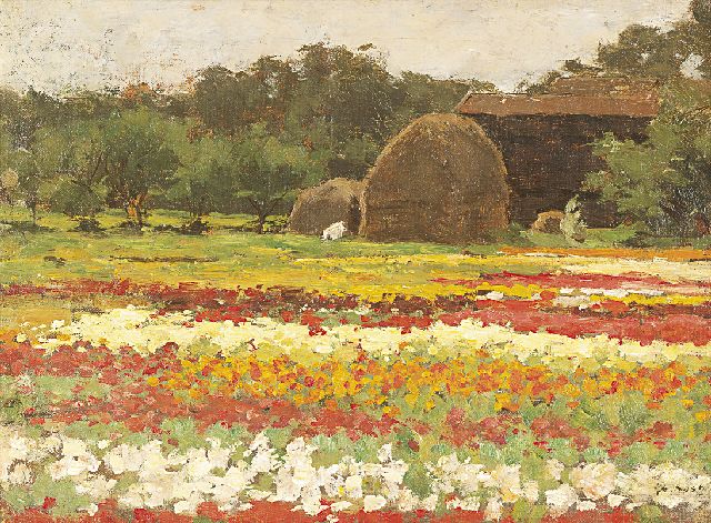 Anton Koster | Bloeiende bollenvelden, olieverf op doek op board, 29,3 x 39,1 cm, gesigneerd r.o.