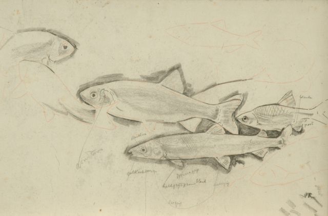 Gerrit Willem Dijsselhof | Studie van forellen, zwart krijt op papier, 26,5 x 40,1 cm