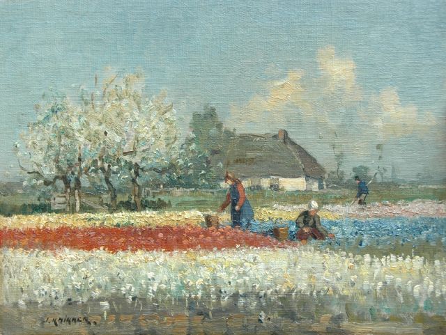 Jan Knikker sr. | Bloemenveld: het koppen van de bollen, olieverf op doek op paneel, 25,2 x 33,5 cm, gesigneerd l.o.