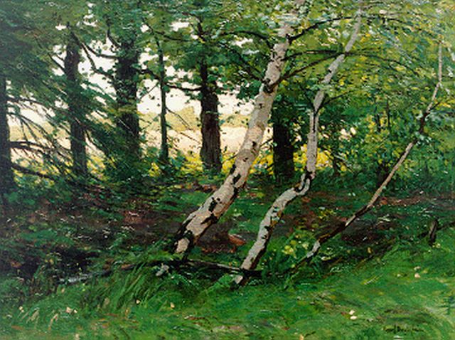 Paul Bodifée | Achter de boerderij, olieverf op doek, 38,2 x 50,5 cm, gesigneerd r.o.