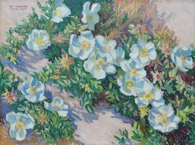 Ad Blok van der Velden | Duinroosjes, olieverf op doek, 30,4 x 40,2 cm, gesigneerd l.b. en gedateerd  'Texel 1956'